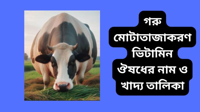 গরু মোটাতাজাকরণ ভিটামিন ঔষধের নাম
