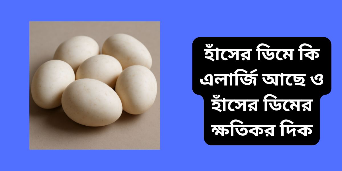 হাঁসের ডিমে কি এলার্জি আছে ও হাঁসের ডিমের ক্ষতিকর দিক