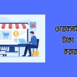 ওয়েবসাইট বানিয়ে টাকা ইনকাম করার উপায়