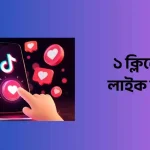 ১ ক্লিকে ৫০০ লাইক টিকটক