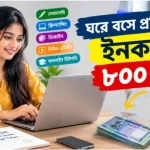 ঘরে বসে প্রতিদিন ইনকাম ৮০০ টাকা
